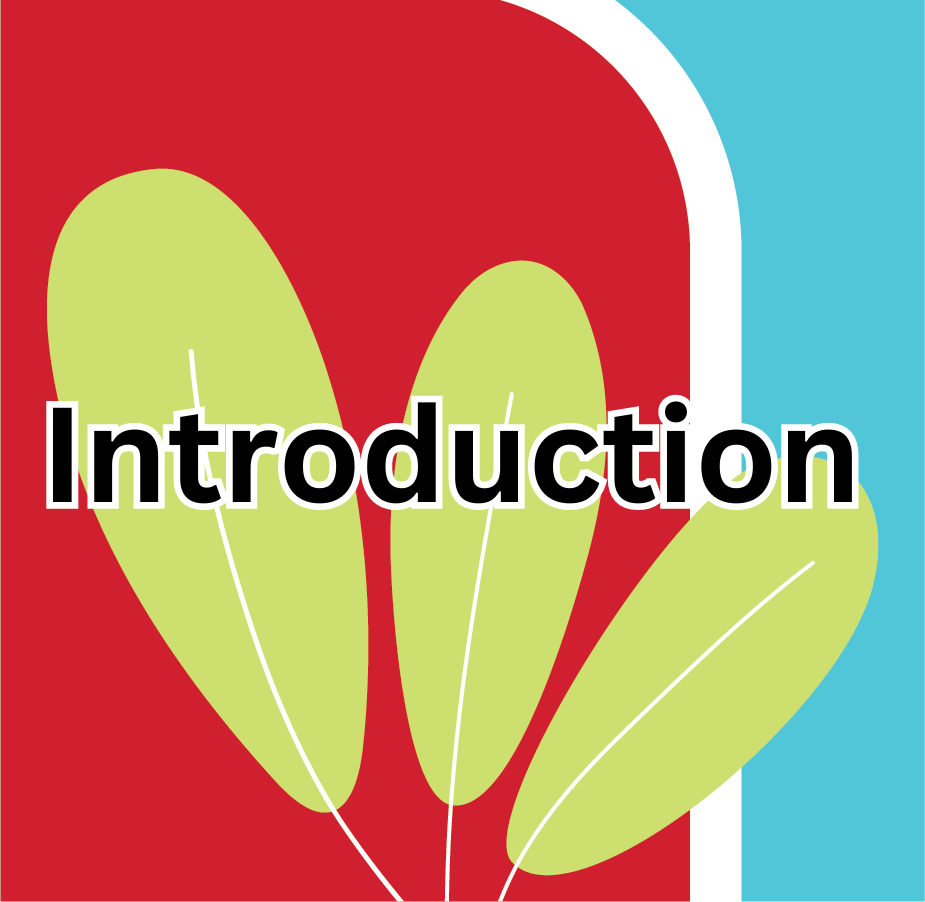 Introduction to Miami Writing Institute